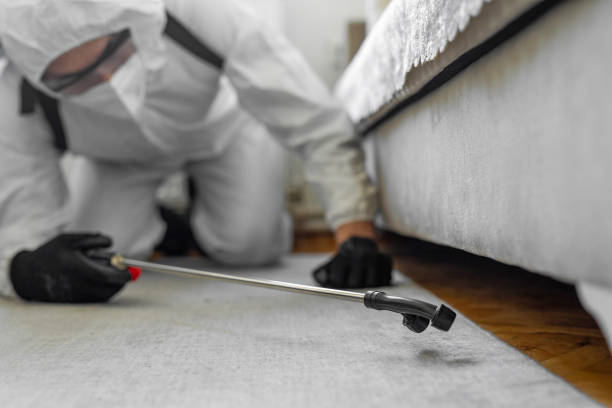 Professional Termite Control technician working in Derby, CO